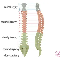 Jak sprawdzić kręgosłup niemowlaka: 7 kluczowych wskazówek