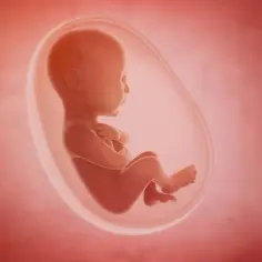 Który zmysł dziecka rozwija się jako pierwszy w łonie matki? Zaskakujące fakty